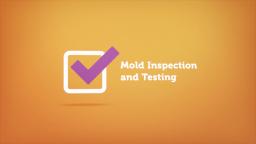 ALL US Mold Removal & Remediation in Garland TX : Home Inspector
