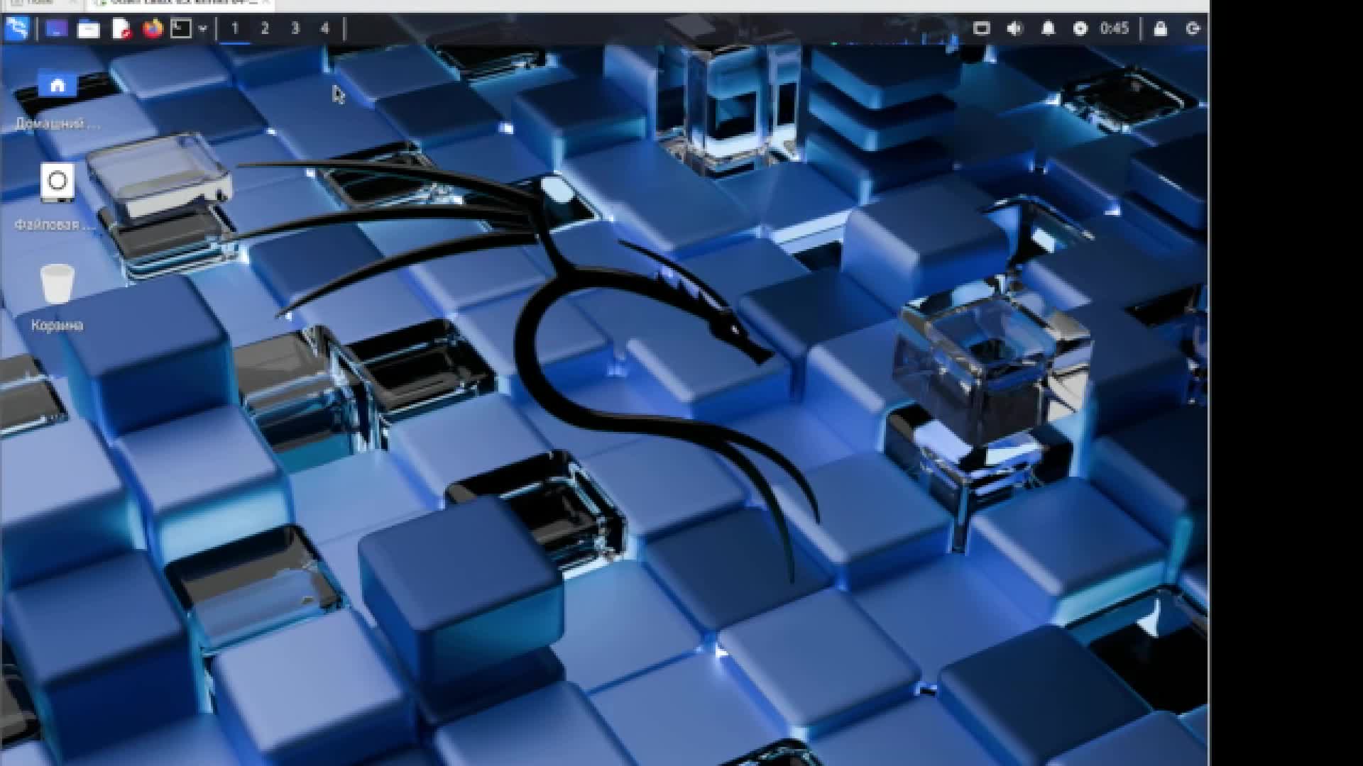 Kali Linux 2025.1 Part 1