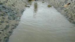 Jana make a session with her zebra rubberboots in mud and creek