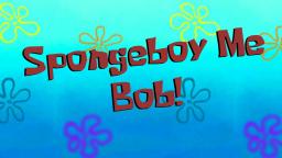 SPI Bits - SpongeBoy Me Bob!