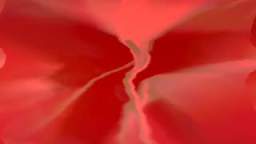 2011 Excel Entertainment Gets Diemond-ified