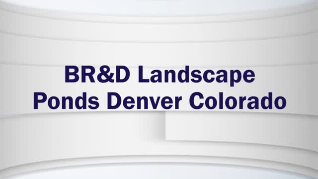 BR&D Landscape - Ponds Denver Colorado