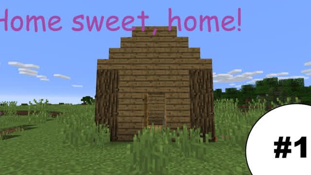 Home, sweet home! I Minecraft survival I Ep 1