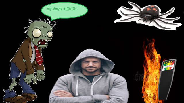 phas idiocy 2