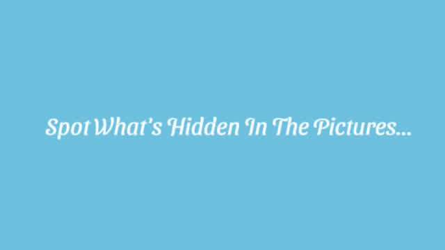 Spot What's Hidden In The Pictures!!!