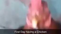 Erster Tag besitzen ein Huhn