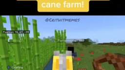 new automatic sugar cane farm!