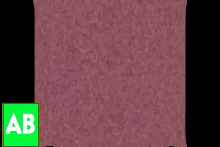 Klaskinny Csupo in Nickelodeon Major