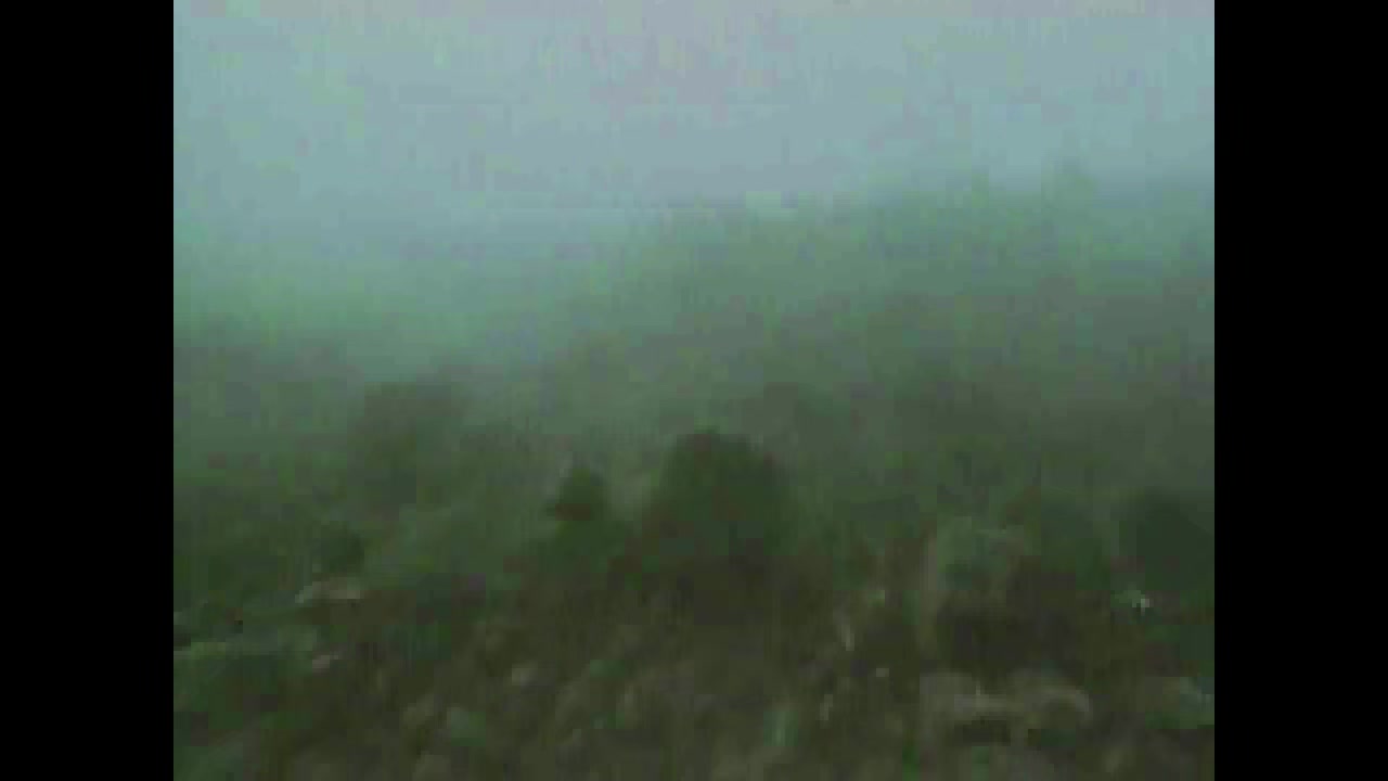 Microsoft Oceans (1995) videos