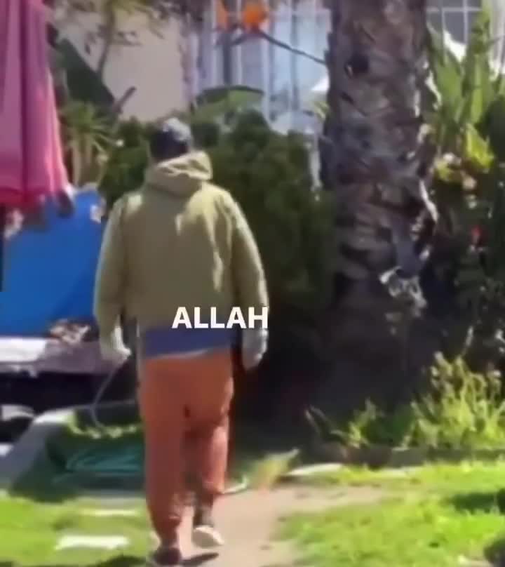 The fuck you going to do