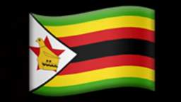 Zimbabwe EAS Alarm