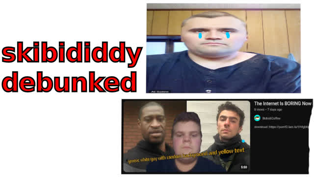 The Internet Is FUN, Actually (skibididdy coffee DEBUNKED)