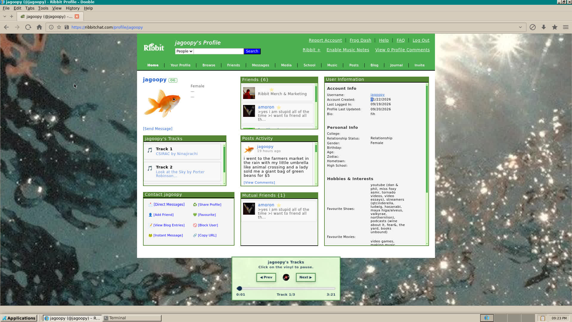Ribbit Chat site overview