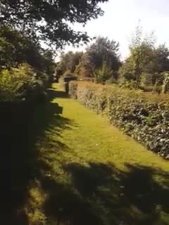 The NetYouPoint