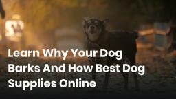 Learn Why Your Dog Barks And How Best Dog Supplies Online Can Help