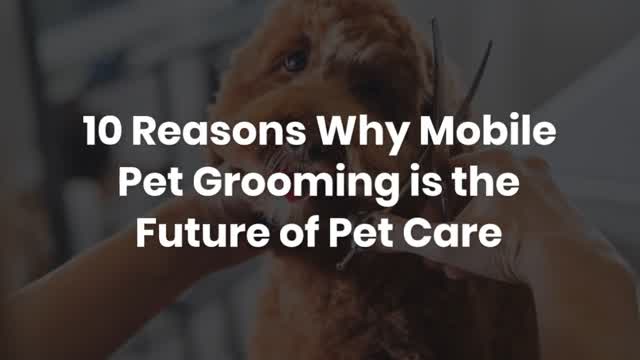 10 Reasons Why Mobile Pet Grooming is the Future of Pet Care