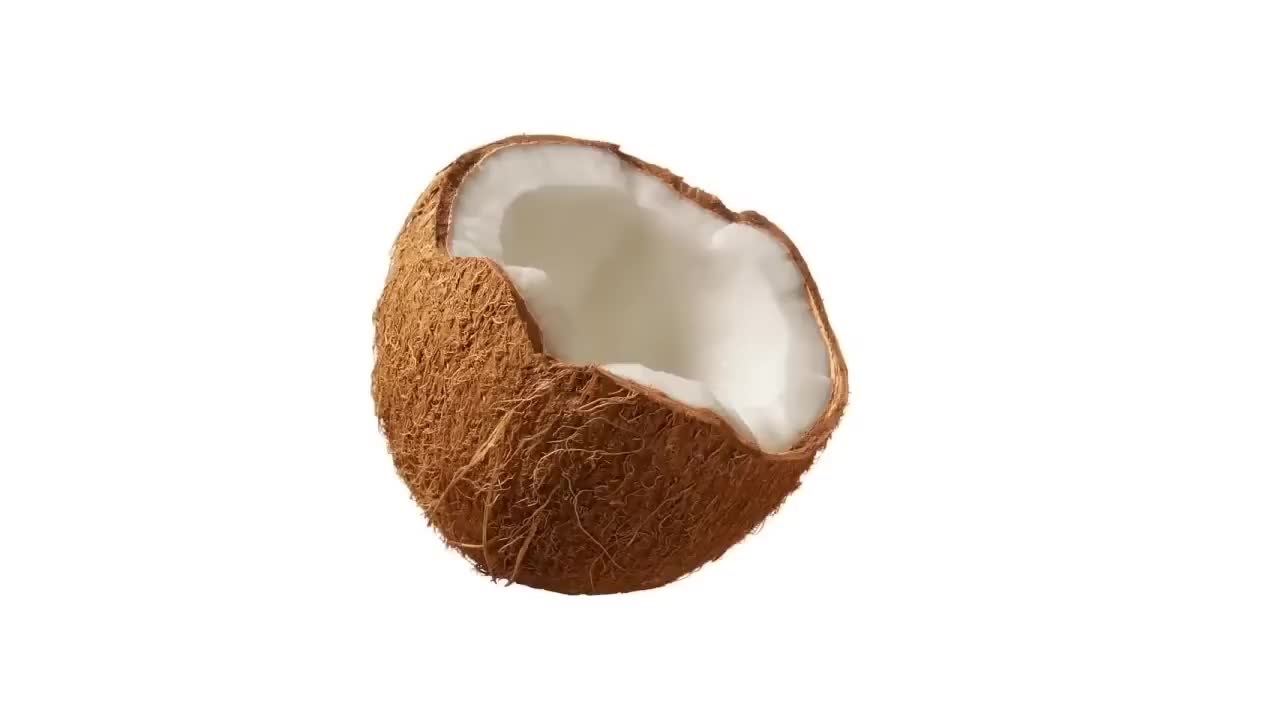 The Coconut Song - (Da Coconut Nut)