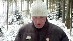 Wo sind wir sicher - Aufruf zum Jahreswechsel