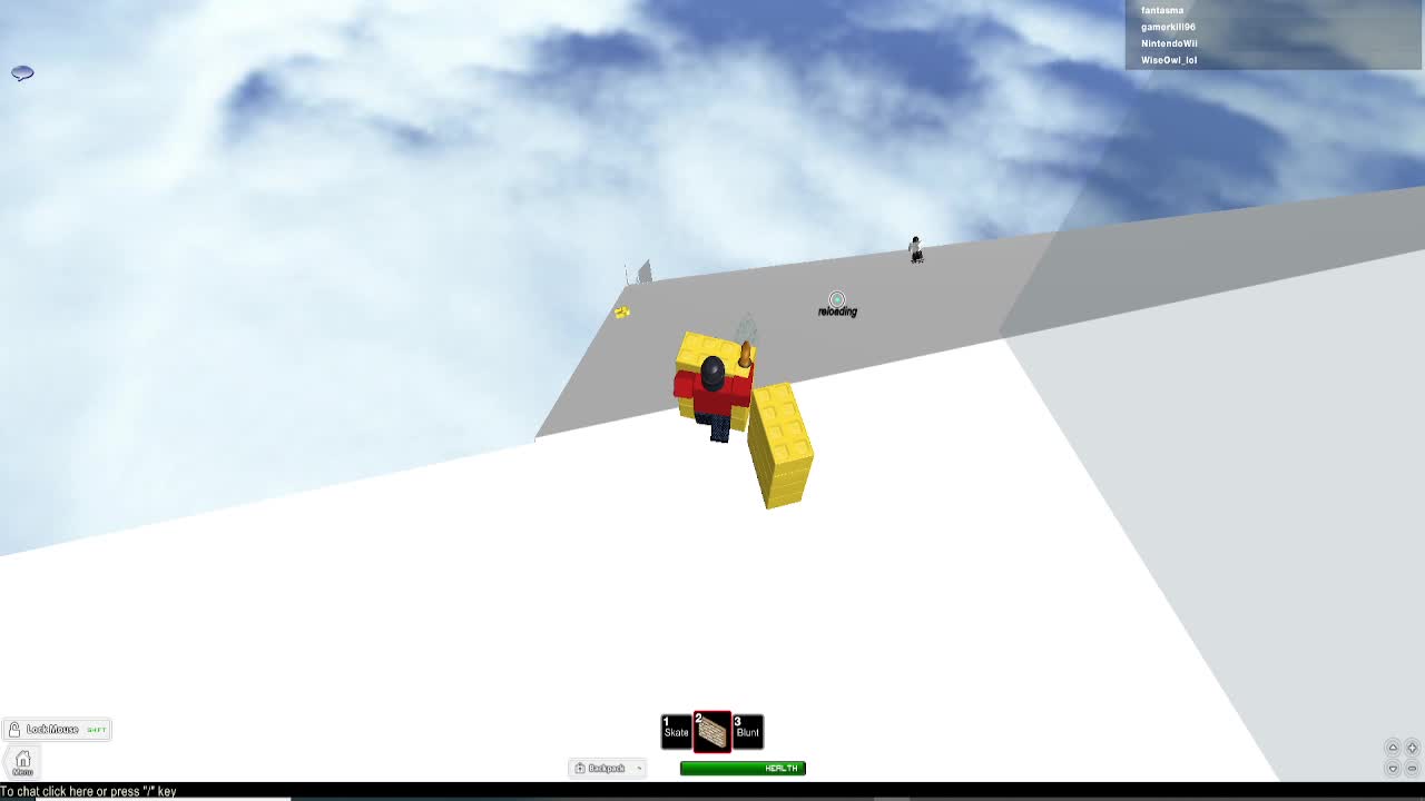 ROBLOX Skating Gone WRONG!!!!