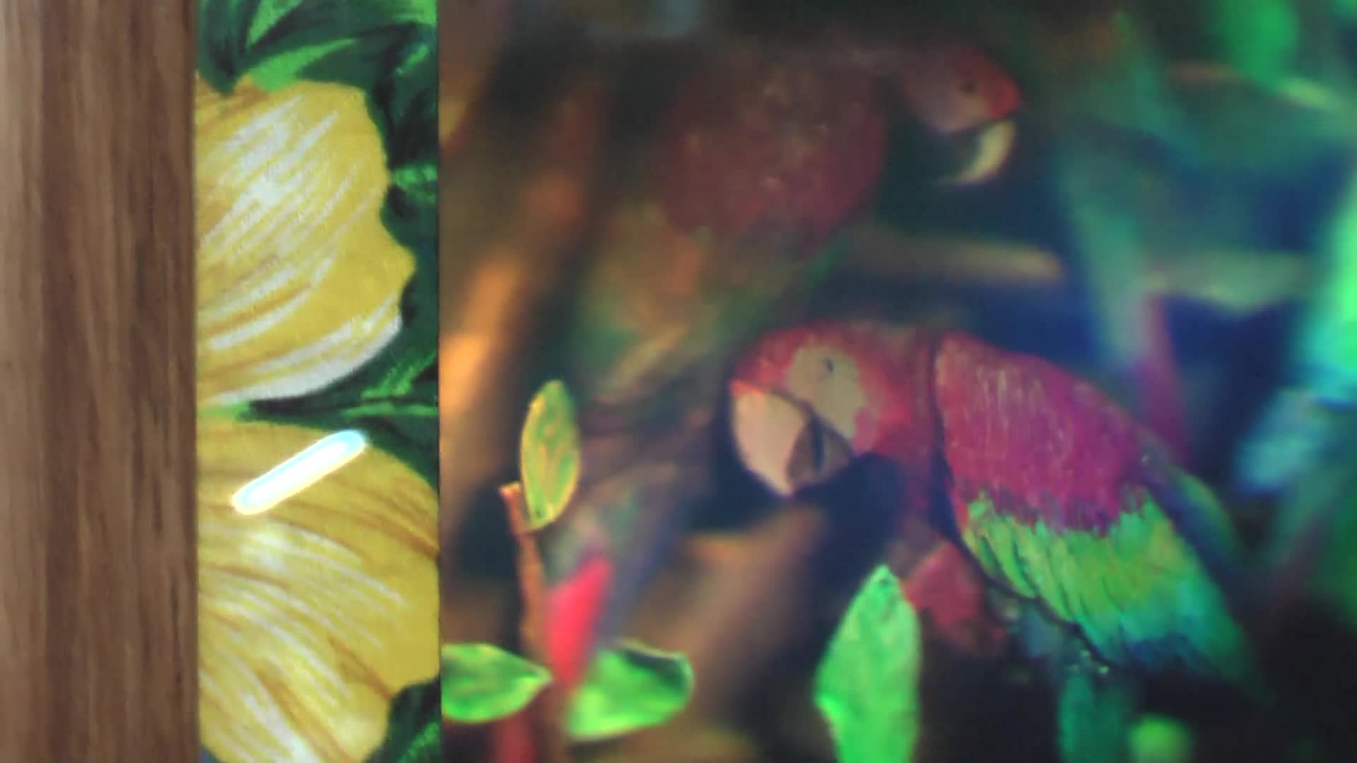 RGB Color Hologram Photopolymer