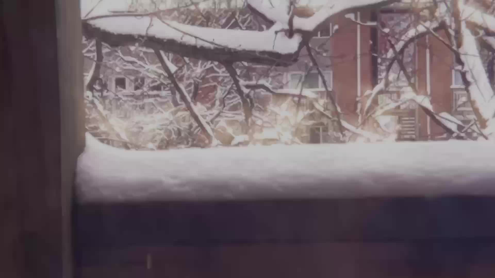 snow on Salem Village