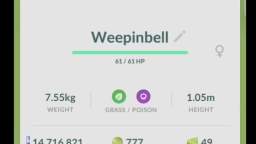 Pokémon GO-Evolving Shiny Bellsprout Pokémon GO-Evolving Shiny Bellsprout