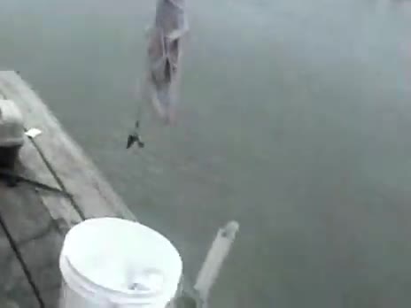Angry Grandpa goes fishing, Also Named: Grandpa goes fishing