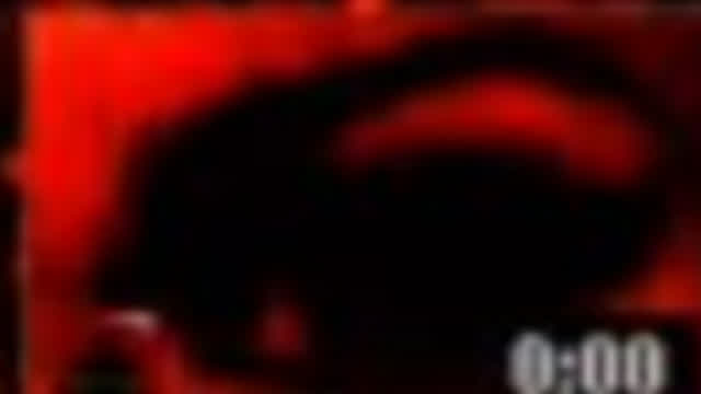 meat