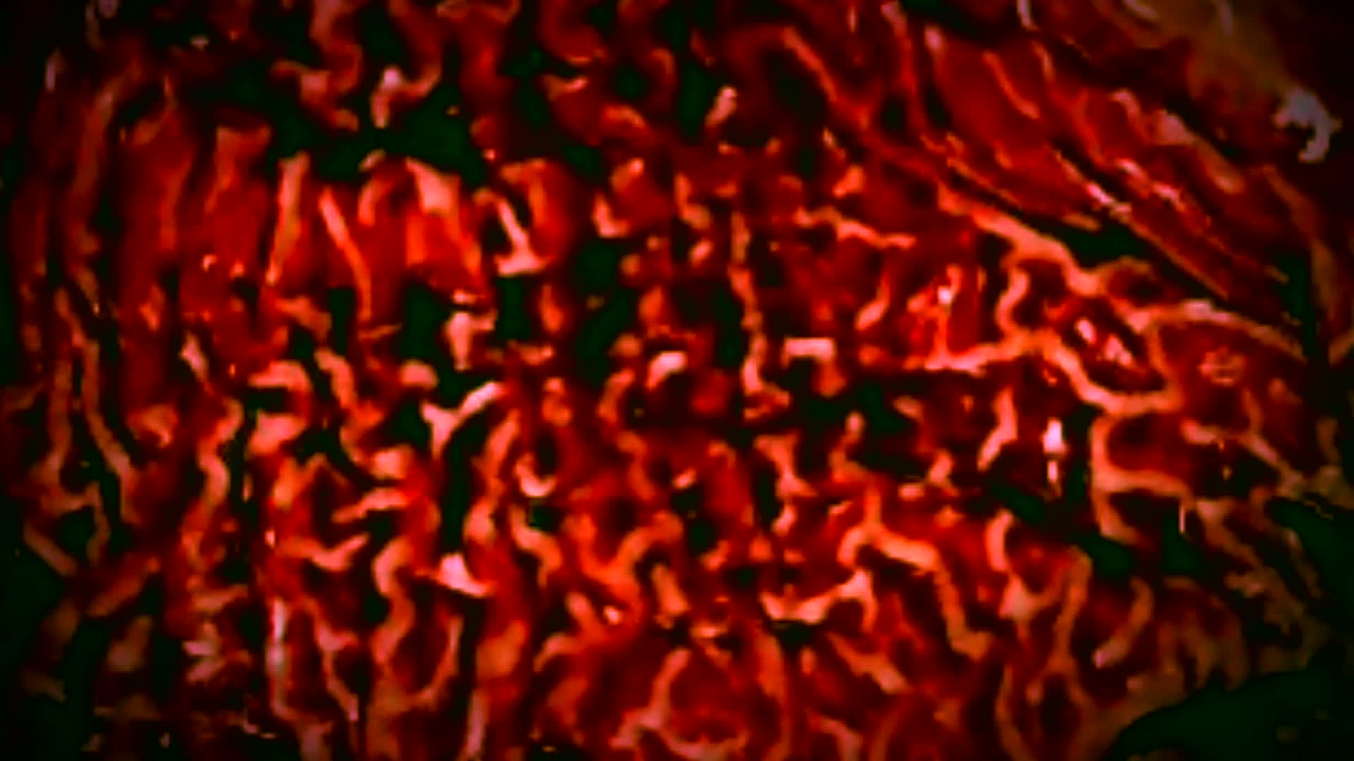 Consume Pantaloons (The Simpsons Parody)