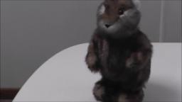 CADDYSHACK GOPHER CADDYSHACK GOPHER