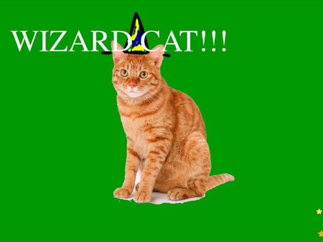 Wizard Cat !!!