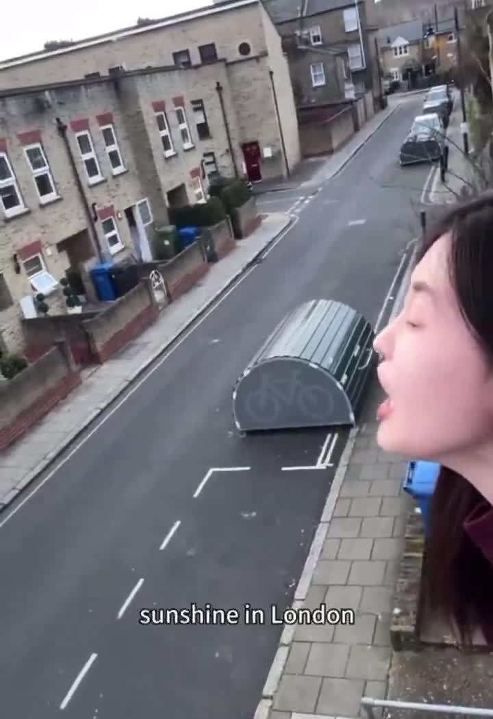 Japanese Tourist