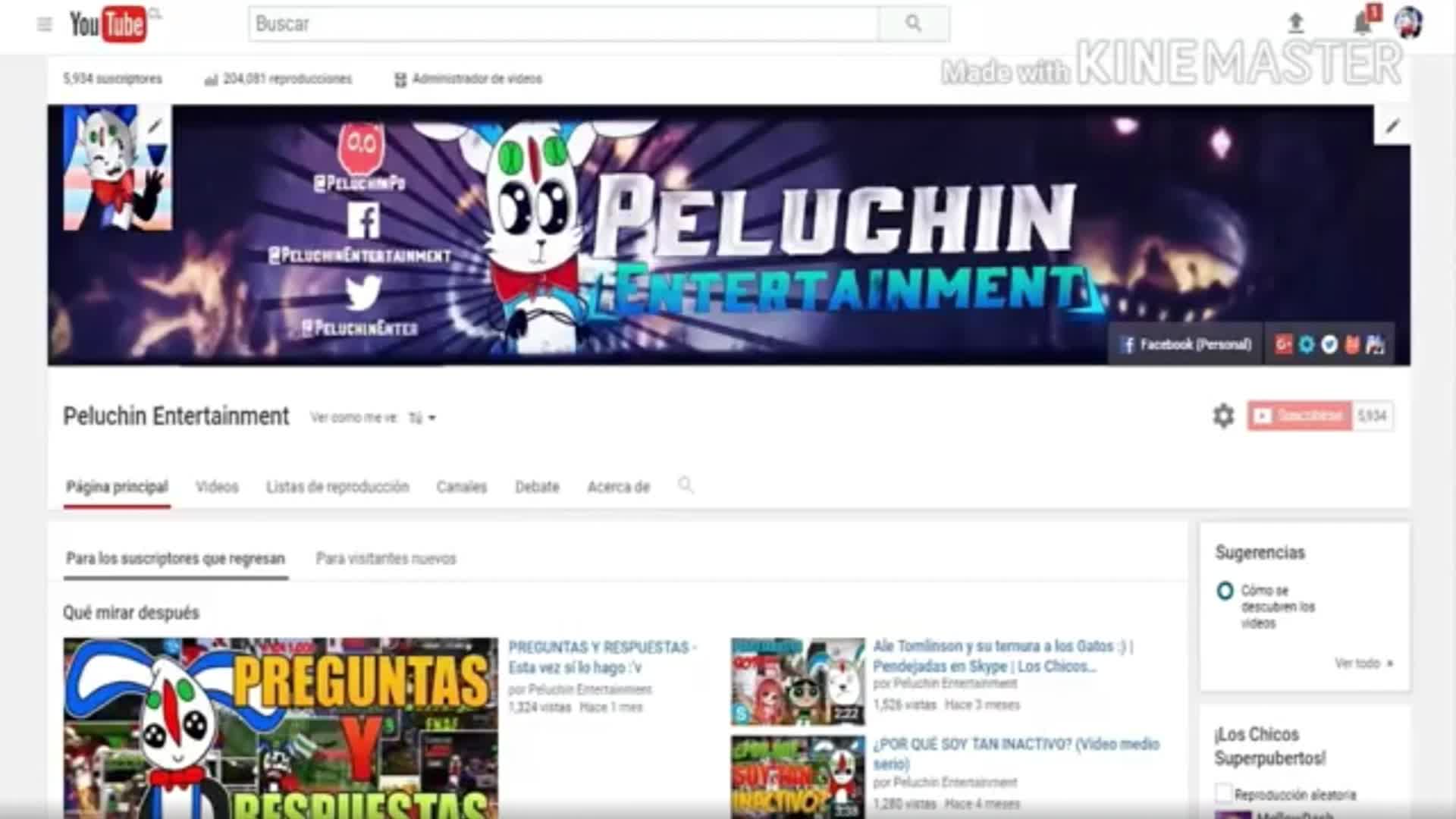 ¿Qué opino sobre la multicuenta de Peluchin Entertamient "Peluchin Entertaiment Te Jode"?