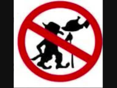 REPORT all TROLLS to UTUBE TROLL POLICE