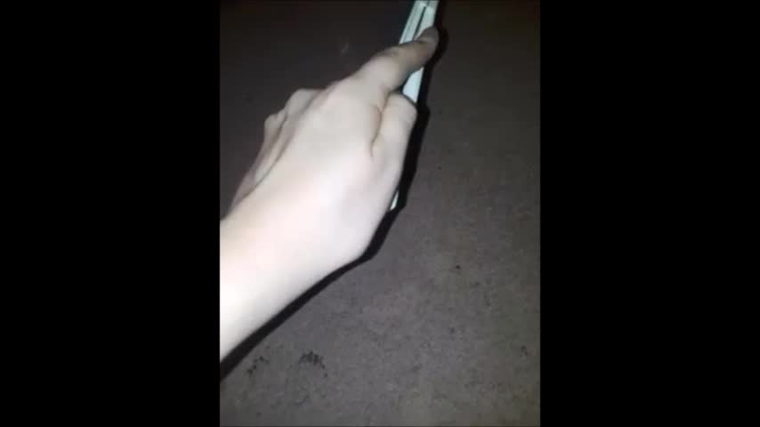 My DVD collection (Part 2.5)