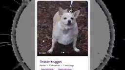 Thicken nugget.WAV