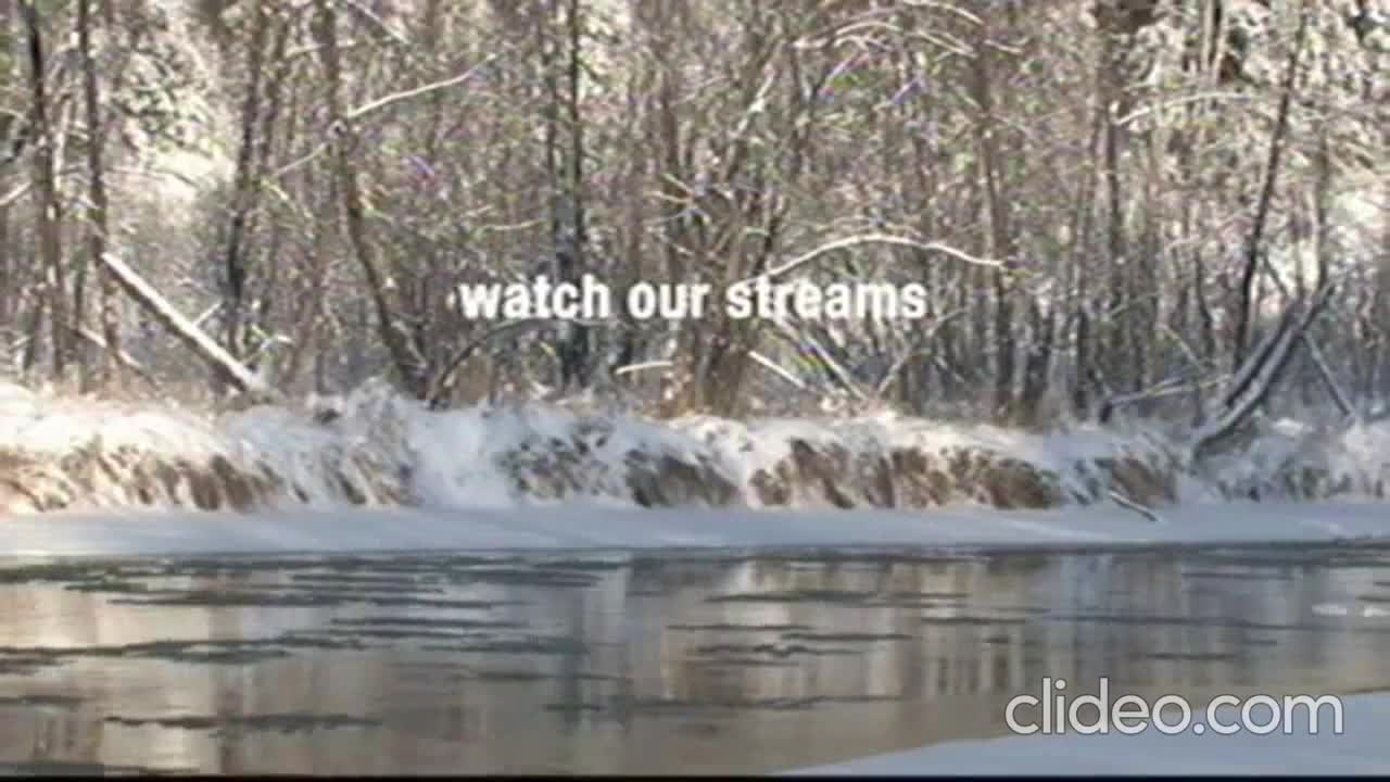 Adult Swim Winter 2025-26 Bumps