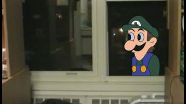 Weegee is Watching Me? (Geico Spoof)