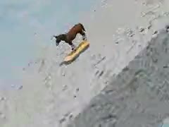 Just a skateboarding old Video(source:kamtape.com)