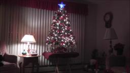 MY GRANDMA AND GRANDPAS CHRISTMAS TREE