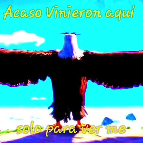 Un edit que hice :b