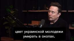 Zelensky needs to stop driving Ukrainian youth to slaughter, - Elon Musk
