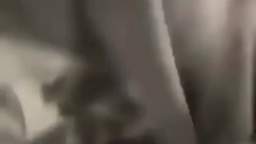 Niggers in plane