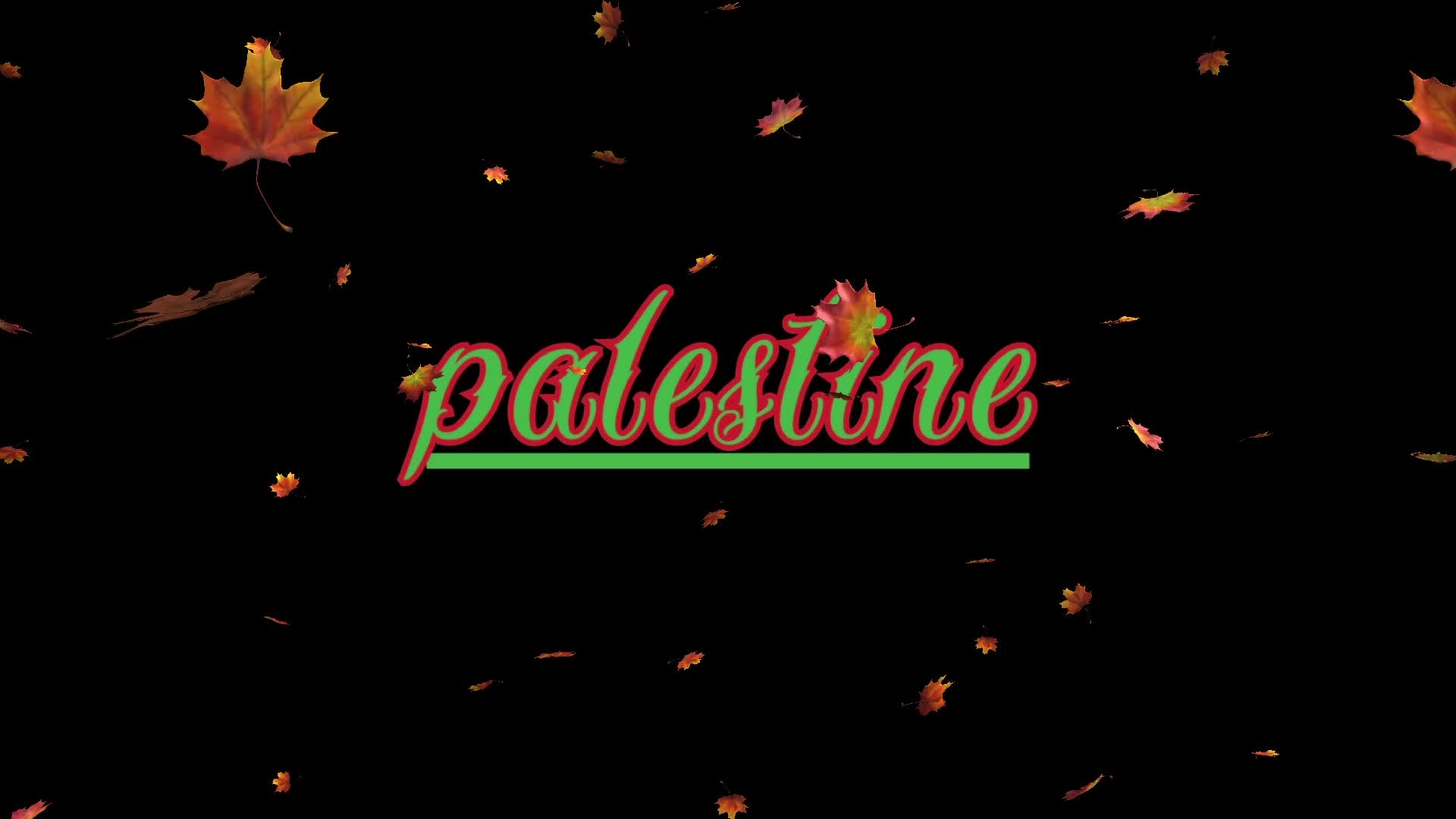 Palestine ¦ Csendes vezetés (Dalszöveges Audió) Palestine ¦ Csendes vezetés (Dalszöveges Audió)
