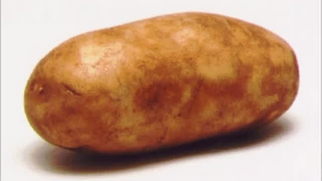 potato slideshow.mp4