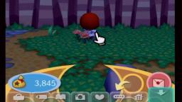 Animal Crossing City Folk Gameplay(Wii)
