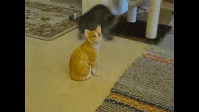 What is the maximum length of a video title on Vidlii? Let's find out. AGGA NAGGA TOGA TEEGA AGGA NA