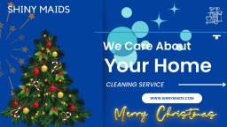 DC Maid Service for Christmas Party from Shinymaids