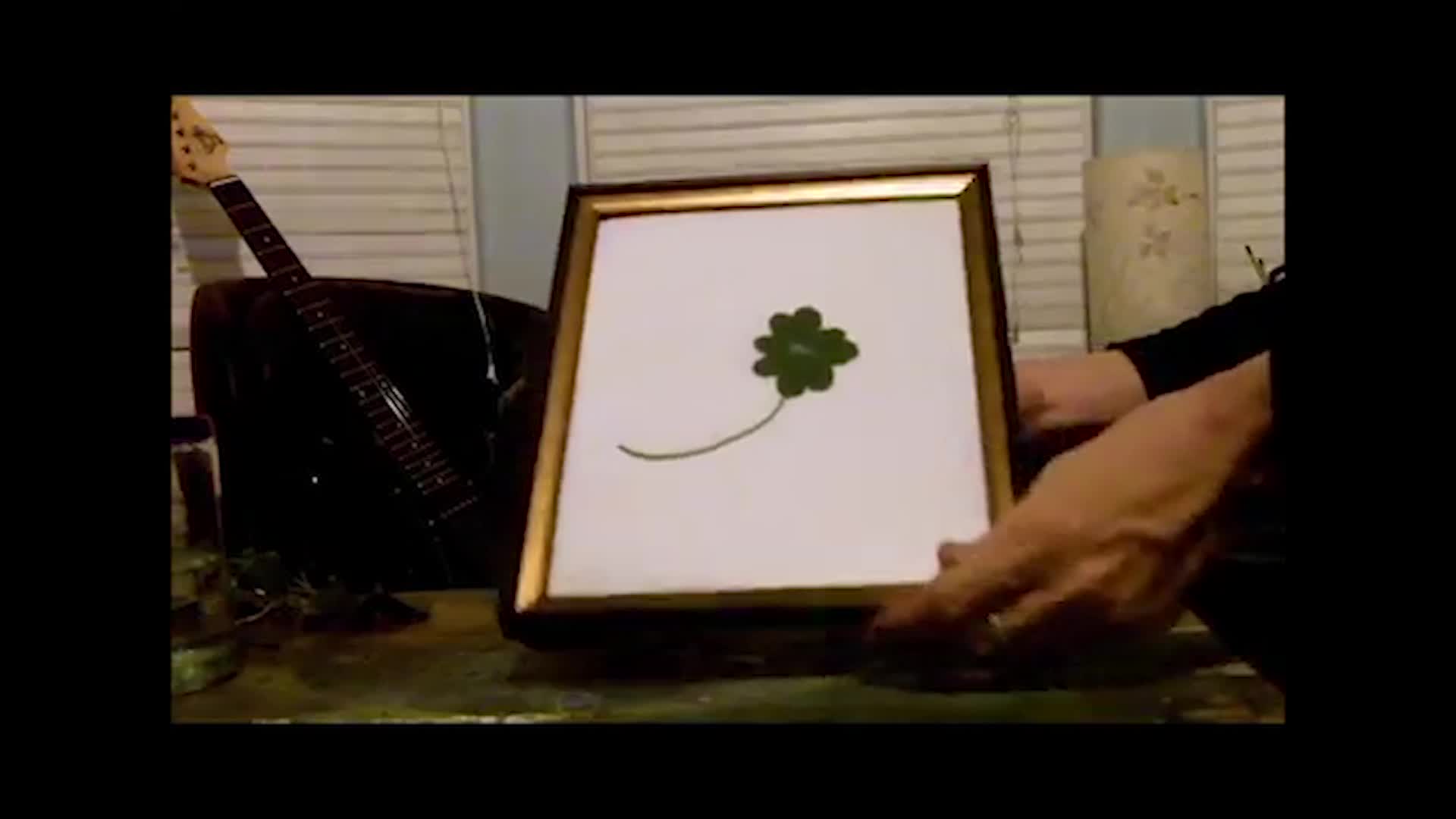 021 clover pop