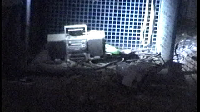 Exploring A Collapsed Factory [CUPPATVEXCLUSIVE]